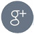 Google Plus